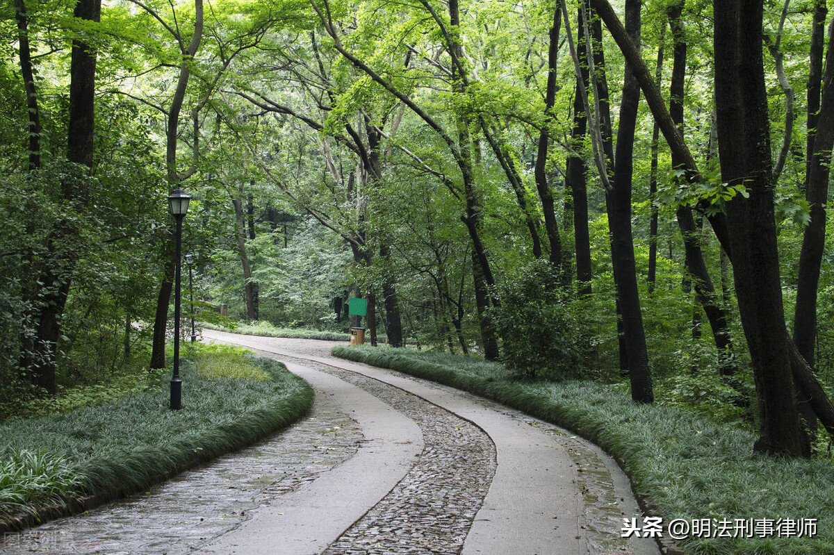 什么是滥伐林木罪，怎么判刑？