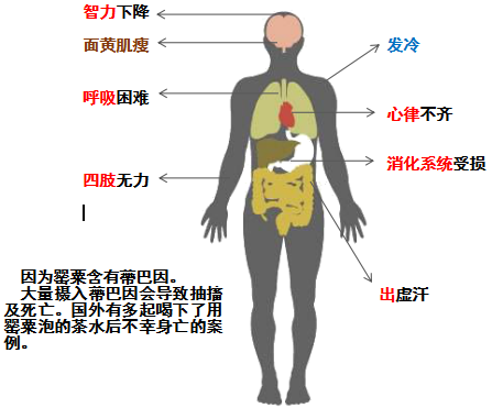一株也不行!烟台多人因种植它被处罚!快看看你家有没有!