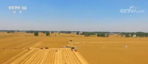 新修订的《土地管理法实施条例》｜耕地优先用于粮食和棉、油、糖、蔬菜等农产品生产