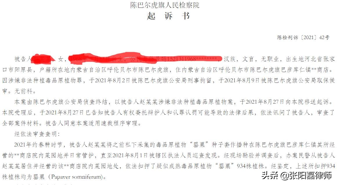 1株就违法？江苏、内蒙、湖北多人种植罂粟被抓，刑法怎么规定？