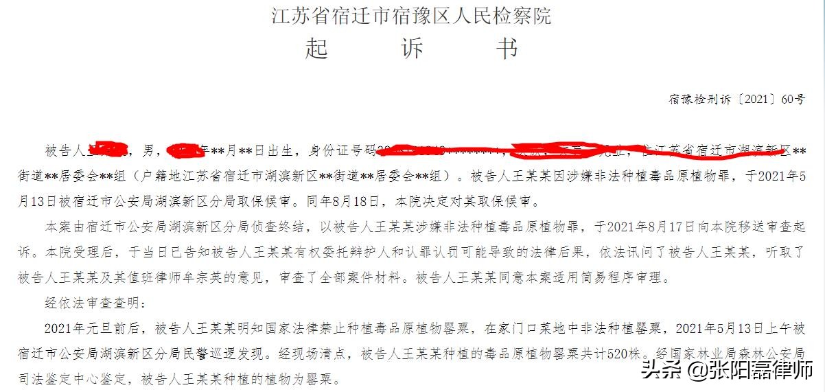 1株就违法？江苏、内蒙、湖北多人种植罂粟被抓，刑法怎么规定？