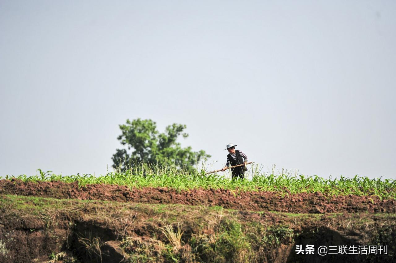 69岁环卫工寒冬街头猝死：无休息日3点起来工作，救护车到时身体已硬，曾希望干脆地走“不给子女添麻烦”