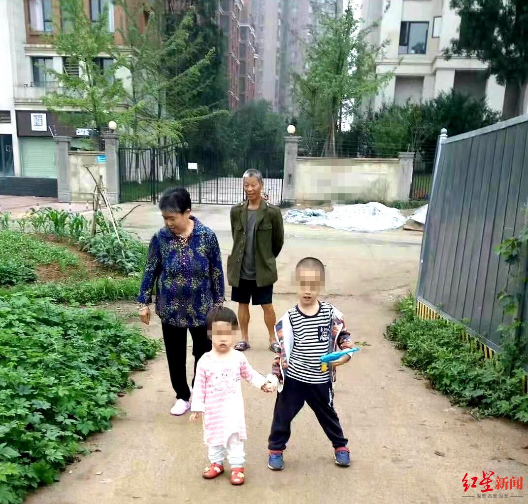 六旬夫妇遭胡蜂蜇伤身亡:摘蜂人被控过失致人死亡,一审被判无罪 检方拟抗诉