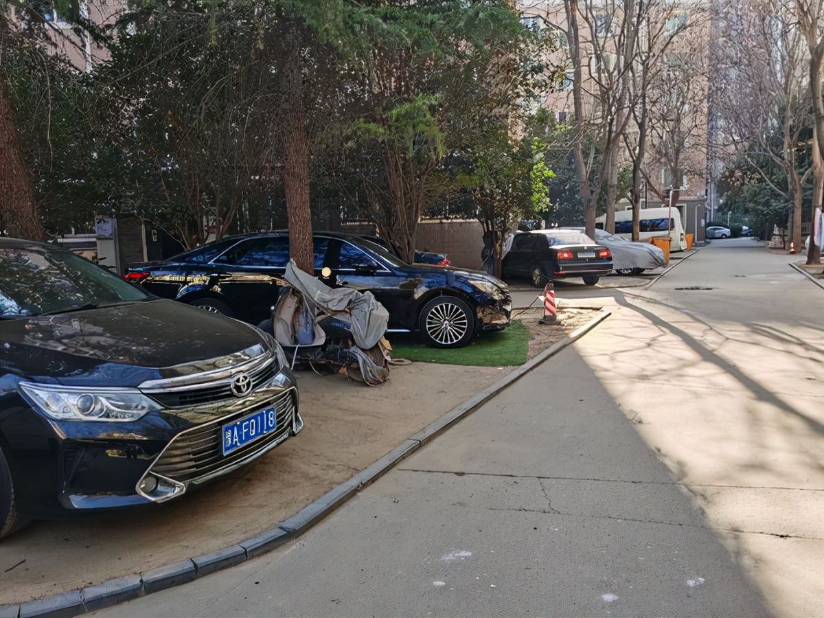 执法部门多次要求整改，但郑州这个小区私搭乱建、占用绿地依旧屡禁不止