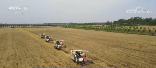 新修订的《土地管理法实施条例》｜耕地优先用于粮食和棉、油、糖、蔬菜等农产品生产