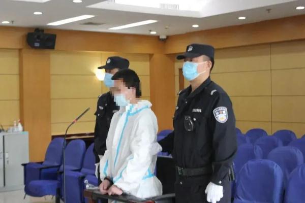 男子抓3只兔子8只鸟 获刑6个月+赔偿损失+公开致歉
