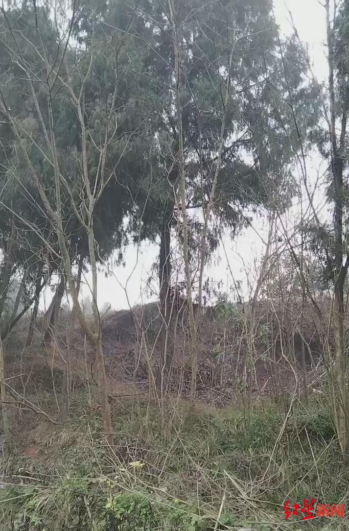六旬夫妇遭胡蜂蜇伤身亡:摘蜂人被控过失致人死亡,一审被判无罪 检方拟抗诉