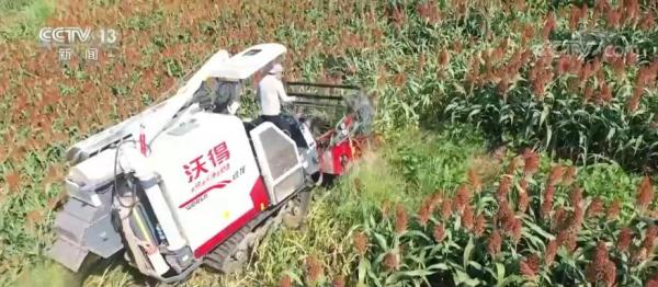 新修订的《土地管理法实施条例》｜耕地优先用于粮食和棉、油、糖、蔬菜等农产品生产
