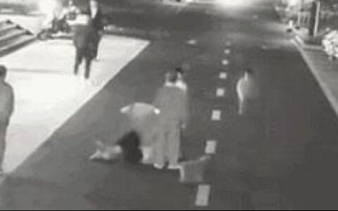 杭州狗主人被刑拘了吗及杭州狗主打人最新消息