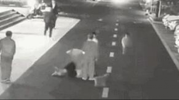杭州警方通报“狗主人打人”事件:涉事男子被刑拘