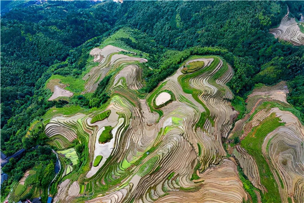 复垦一亩补偿多少钱？土地复垦费用怎么交？