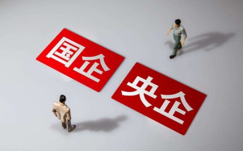 国有独资和国企哪个好及国有独资企业优缺点
