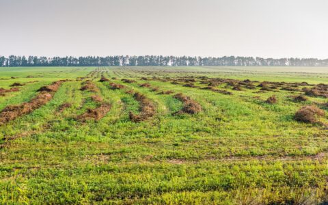 土地使用税是什么及2025年土地使用税开征标准