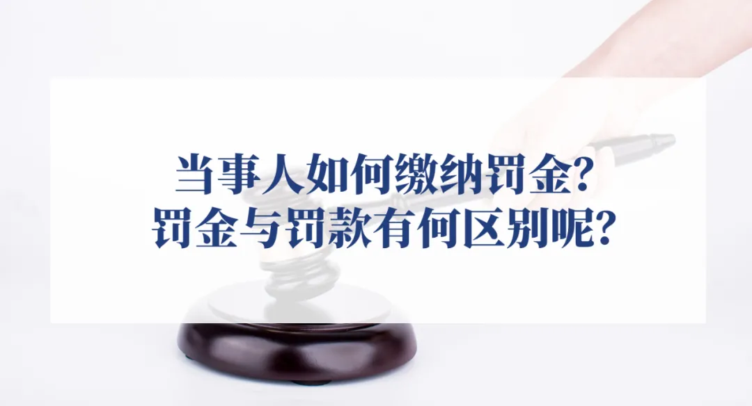 当事人如何缴纳罚金？罚金与罚款有何区别？
