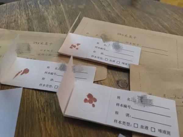 只要三万六无需本人到场 无血缘关系也能变“亲生”
