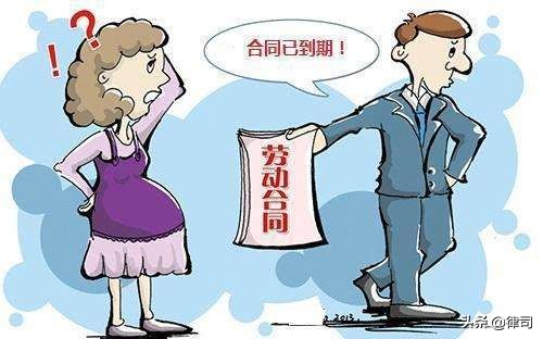 顾问合同和劳动合同区别