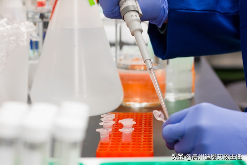 刚怀孕能做亲子鉴定不？鉴定方法有哪些？