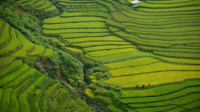 2022年农民种地可以申请哪些补贴？领多少？农民朋友要了解