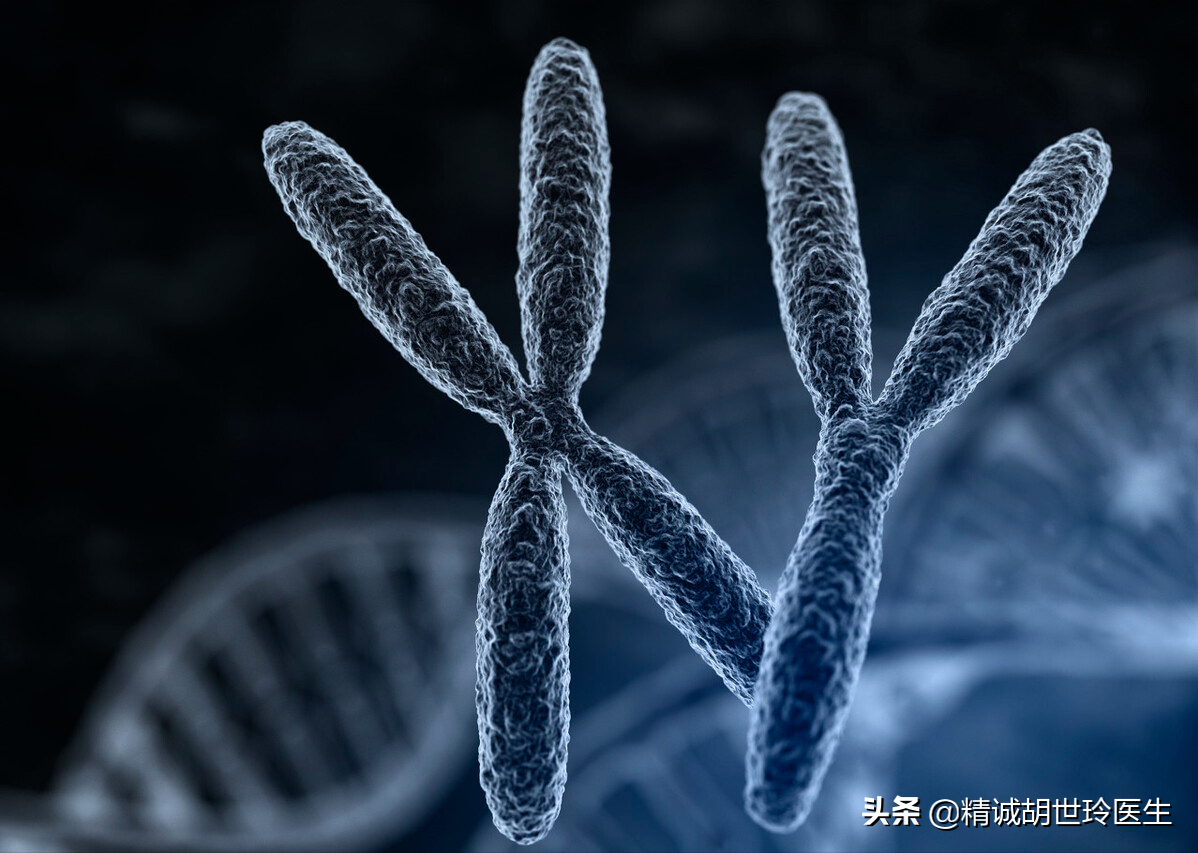 第三代试管婴儿要花多少钱？流程是怎样的？