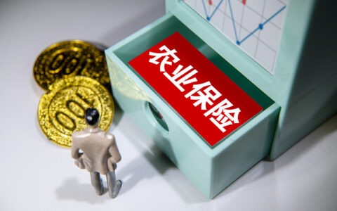 农业保险政策是什么及2024农业保险政策规定