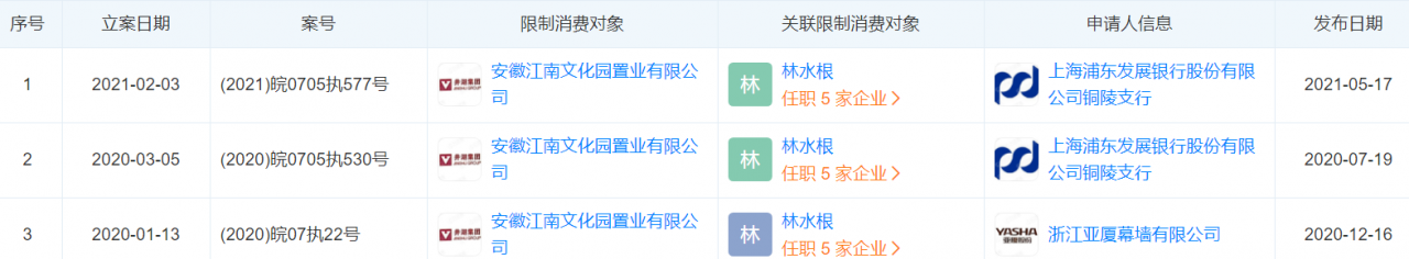 省十佳旅游项目涉违建 安徽江南文旅集团商旅版块被查