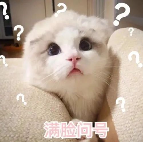 生育保险哪些人能享受?如何报销?生育津贴怎么领取?