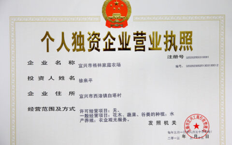 自然人独资有限责任公司什么意思及自然人独资公司的利弊