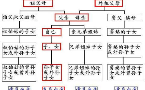 直系血亲关系包括哪些及直系血亲关系包括具体范围