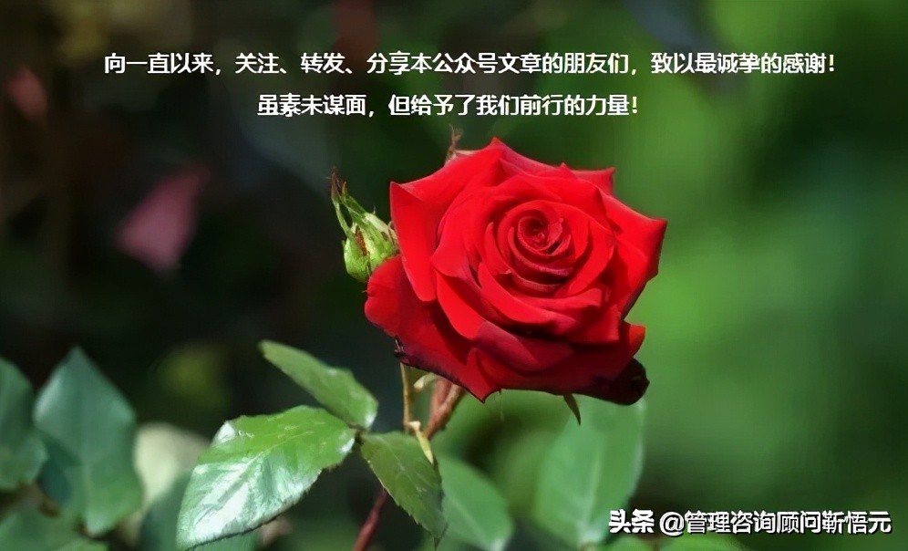 技术服务外包合同范例(分享)