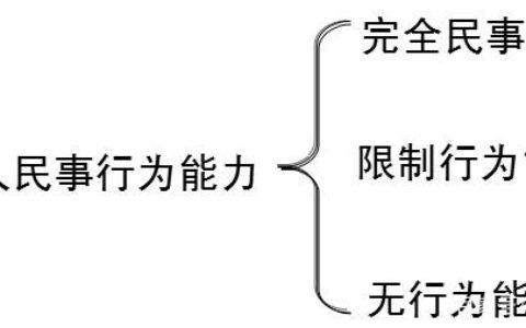 民事行为能力是什么意思及民事行为能力名词解释