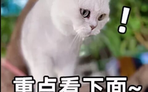 国家照明标准是什么及照度标准值最新规范