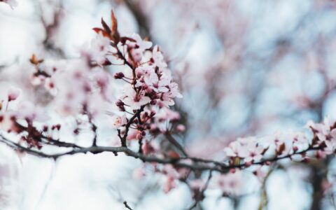 客户拖欠货款怎么处理？这几点你一定要知道