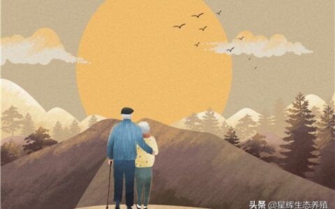 重阳节放假吗是法定节假日吗及法定节假日明细表