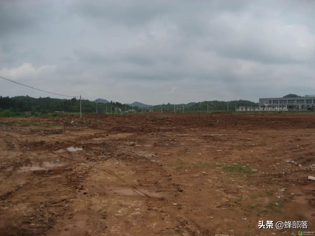 2021年土地闲置会被征收，征收标准你知道多少？把握好5点不吃亏
