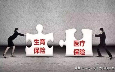 生育保险和医保合并有何影响？合并后怎么报销？