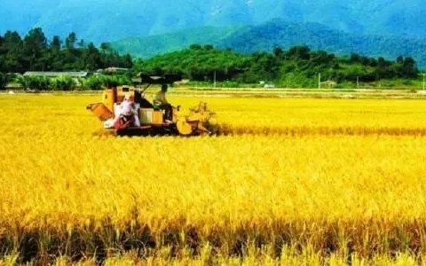 土地利用方式是什么及区别土地利用大类和土地利用方式