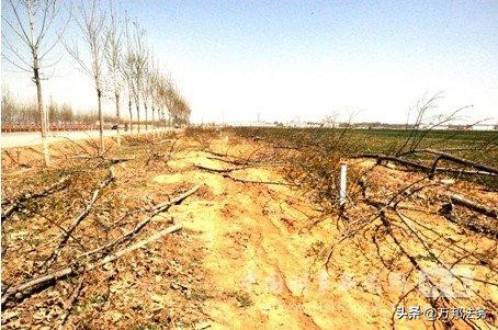 怎么写建筑工程款申请报告?