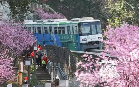 绿化条例有哪些及国家古树名木保护管理条例