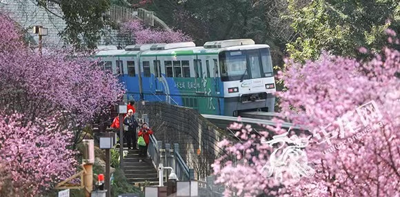 《重庆市城市园林绿化条例》两周年交成绩单：“开往春天的列车”爆火、城市公园超2000个……