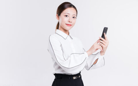 法人人格否认制度的意义及法人人格否认制度典型案例