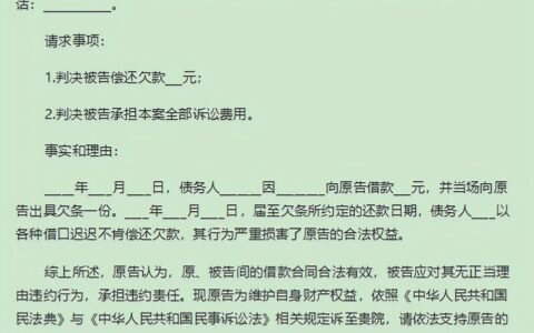 自己怎么写起诉状及告保险公司的起诉状范文