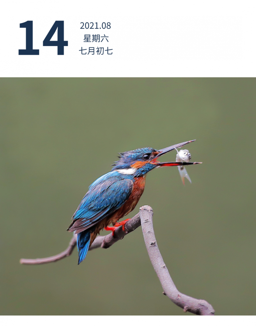 10月起,广东职工产假天数有变化 | 早安广东