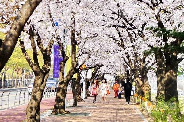 2021最新韩国签证在职证明模板参考