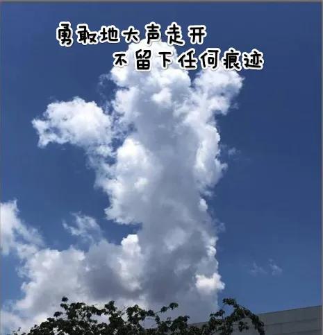 刑法共同犯罪(二）之教唆犯帮助犯和实行犯