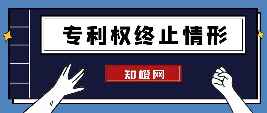 专利权的终止有哪几种情况？