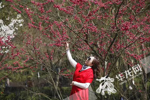 《重庆市城市园林绿化条例》两周年交成绩单：“开往春天的列车”爆火、城市公园超2000个……