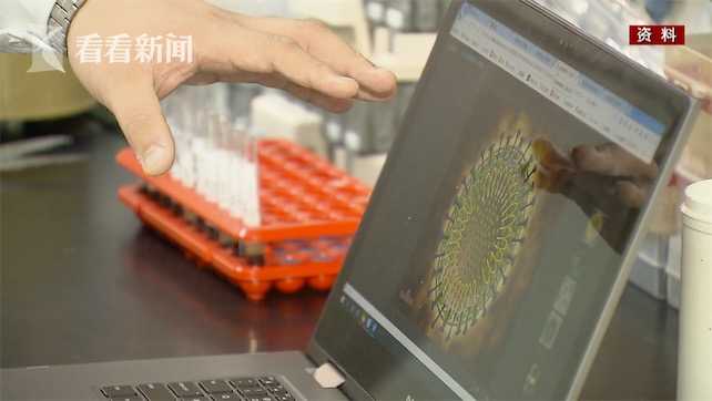 究竟什么是“超级传播者”?如果出现了意味着什么?