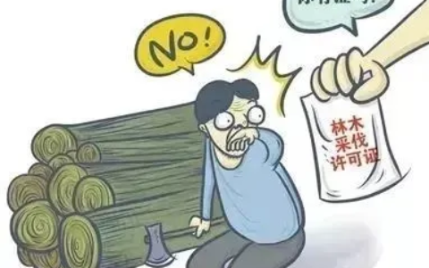 滥伐林木罪怎么处理及滥伐林木罪最新司法解释