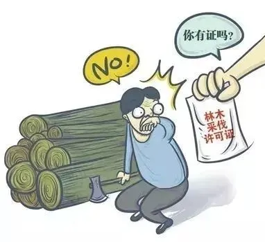 桂检案讯 | 砍伐林木，千万别少了这道程序！