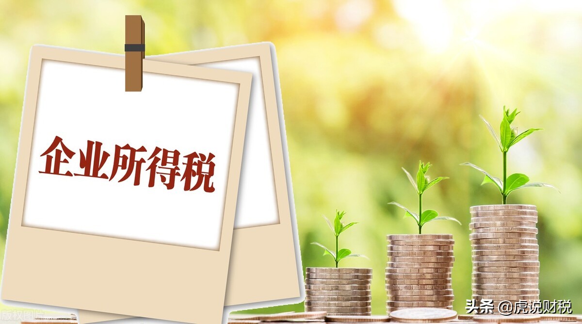 财税知识:一般纳税人的企业所得税税率是多少?
